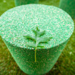 86_cornwall park_FMP4928